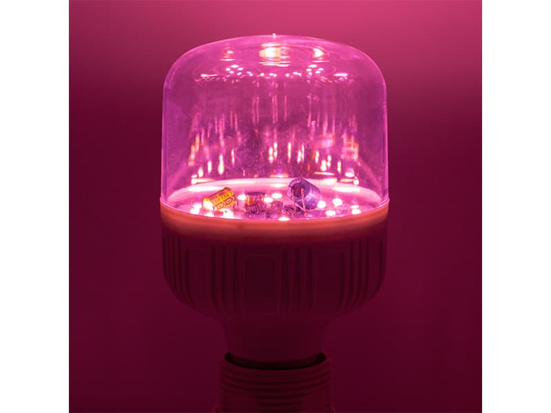 ¿De verdad las lámparas de cultivo LED hacen que las plantas prosperen?