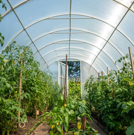 Luz para la agricultura