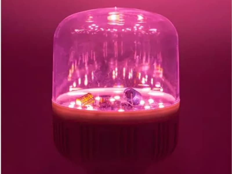 ¿De verdad las lámparas de cultivo LED hacen que las plantas prosperen?